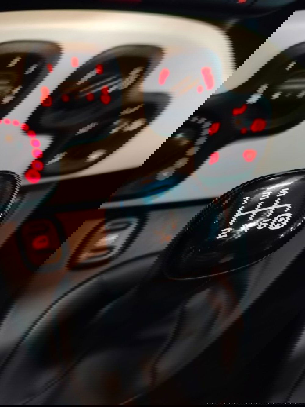 Fiat Panda usata a Forlì-Cesena (20)