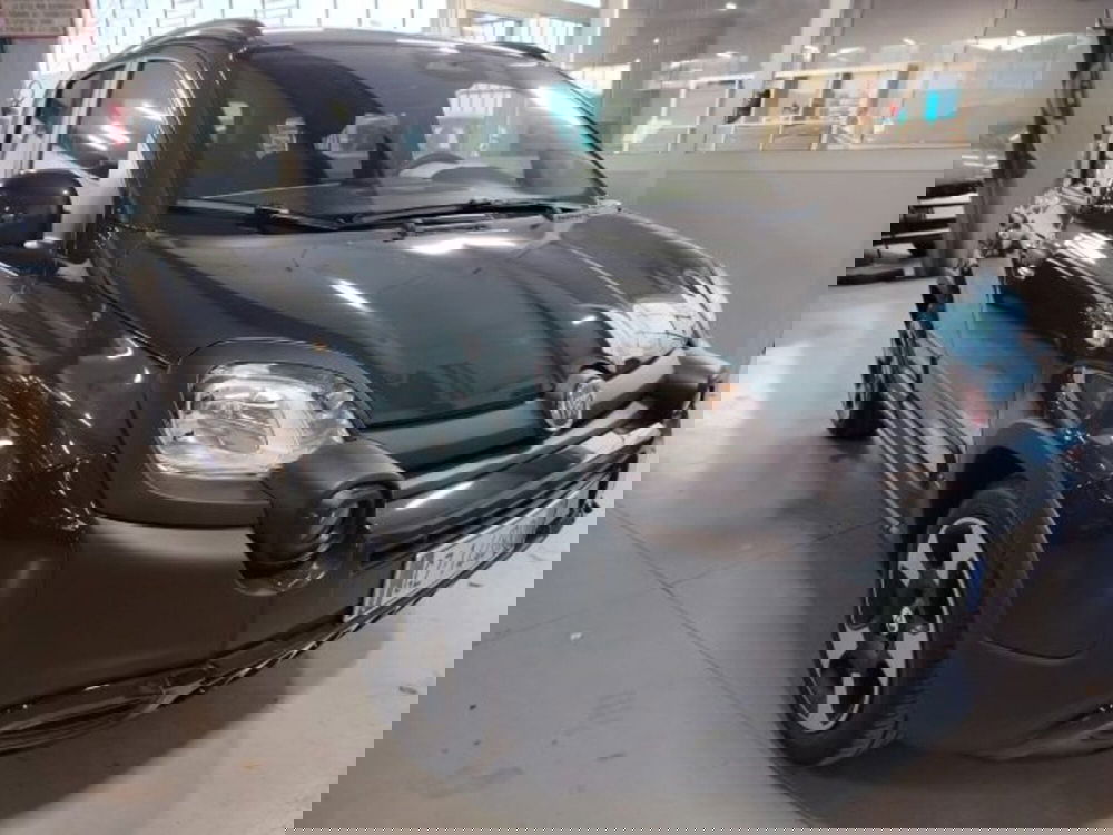 Fiat Panda usata a Forlì-Cesena (4)