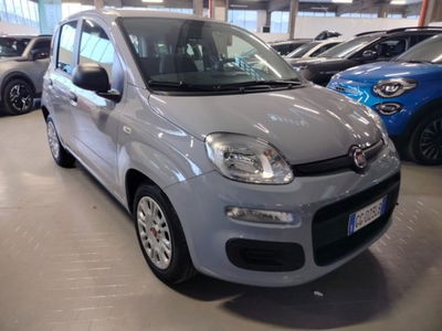 Fiat Panda 1.0 firefly hybrid s&amp;s 70cv 5p.ti del 2021 usata a Cesena