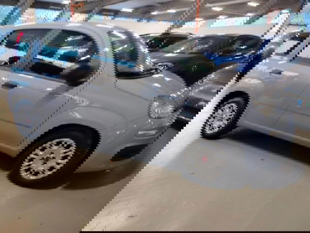 Fiat Panda usata a Forlì-Cesena (10)