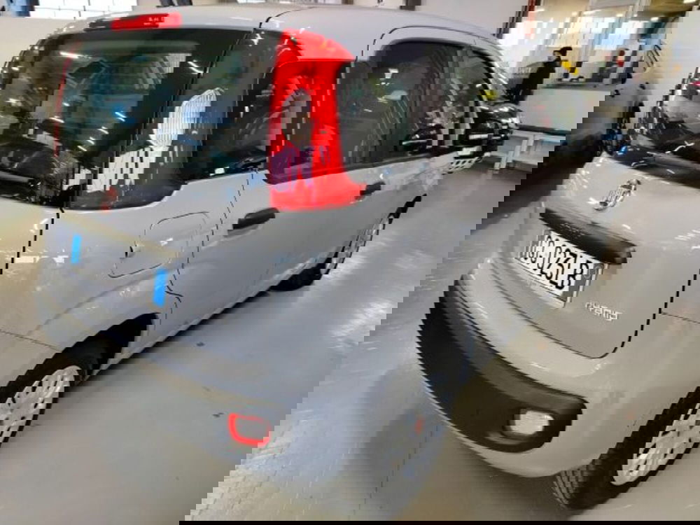 Fiat Panda usata a Forlì-Cesena (11)