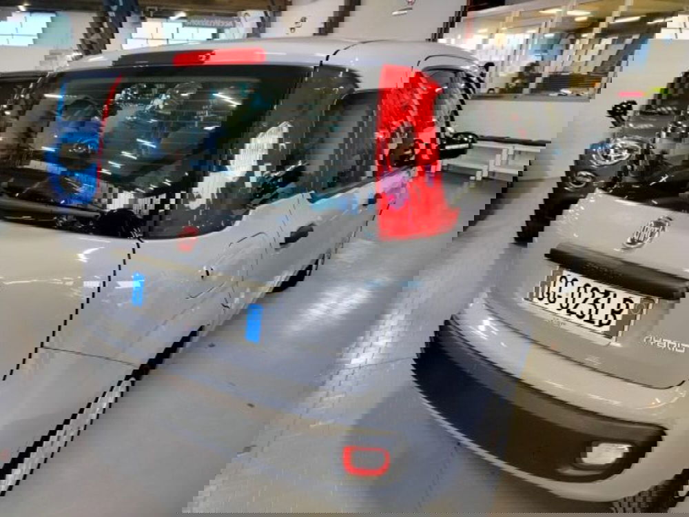 Fiat Panda usata a Forlì-Cesena (12)