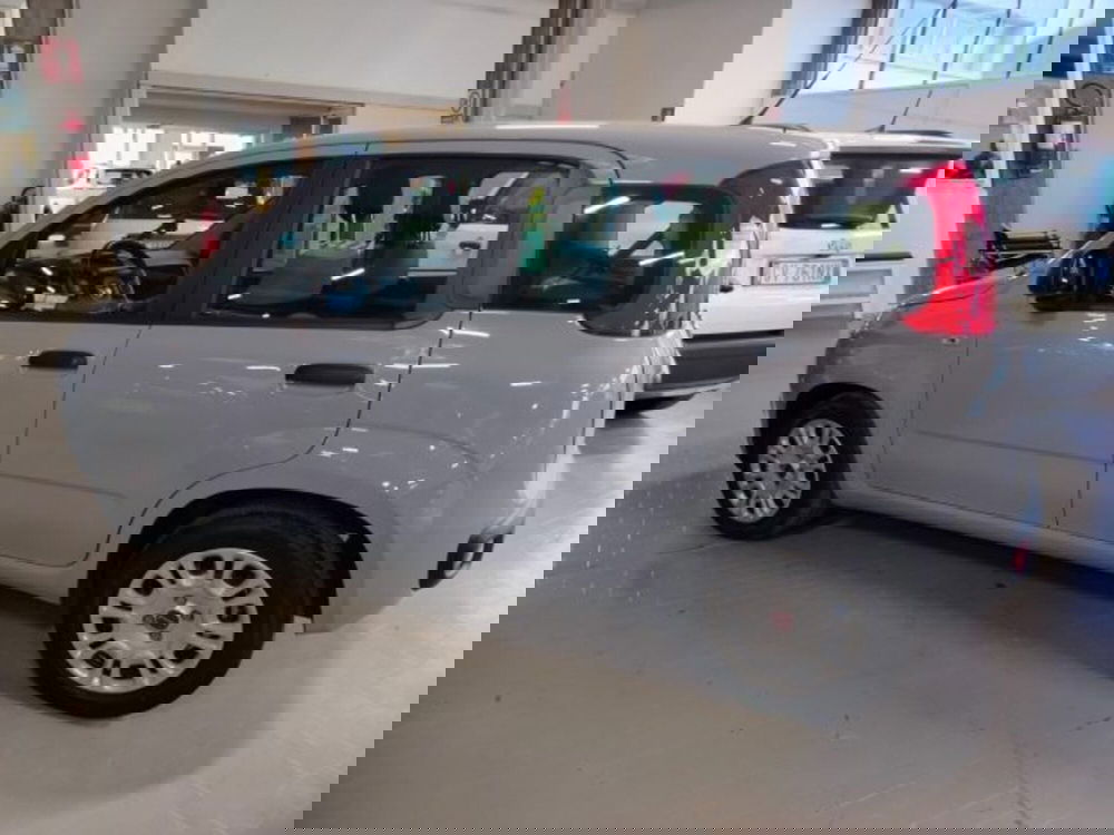 Fiat Panda usata a Forlì-Cesena (13)