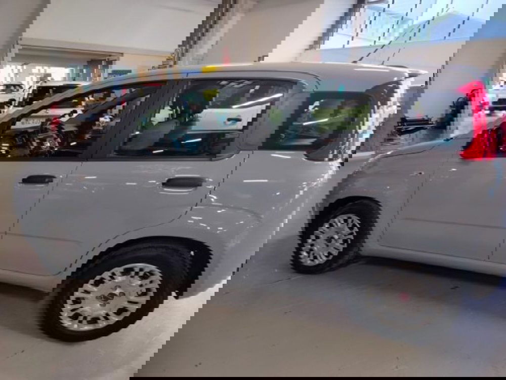 Fiat Panda usata a Forlì-Cesena (14)