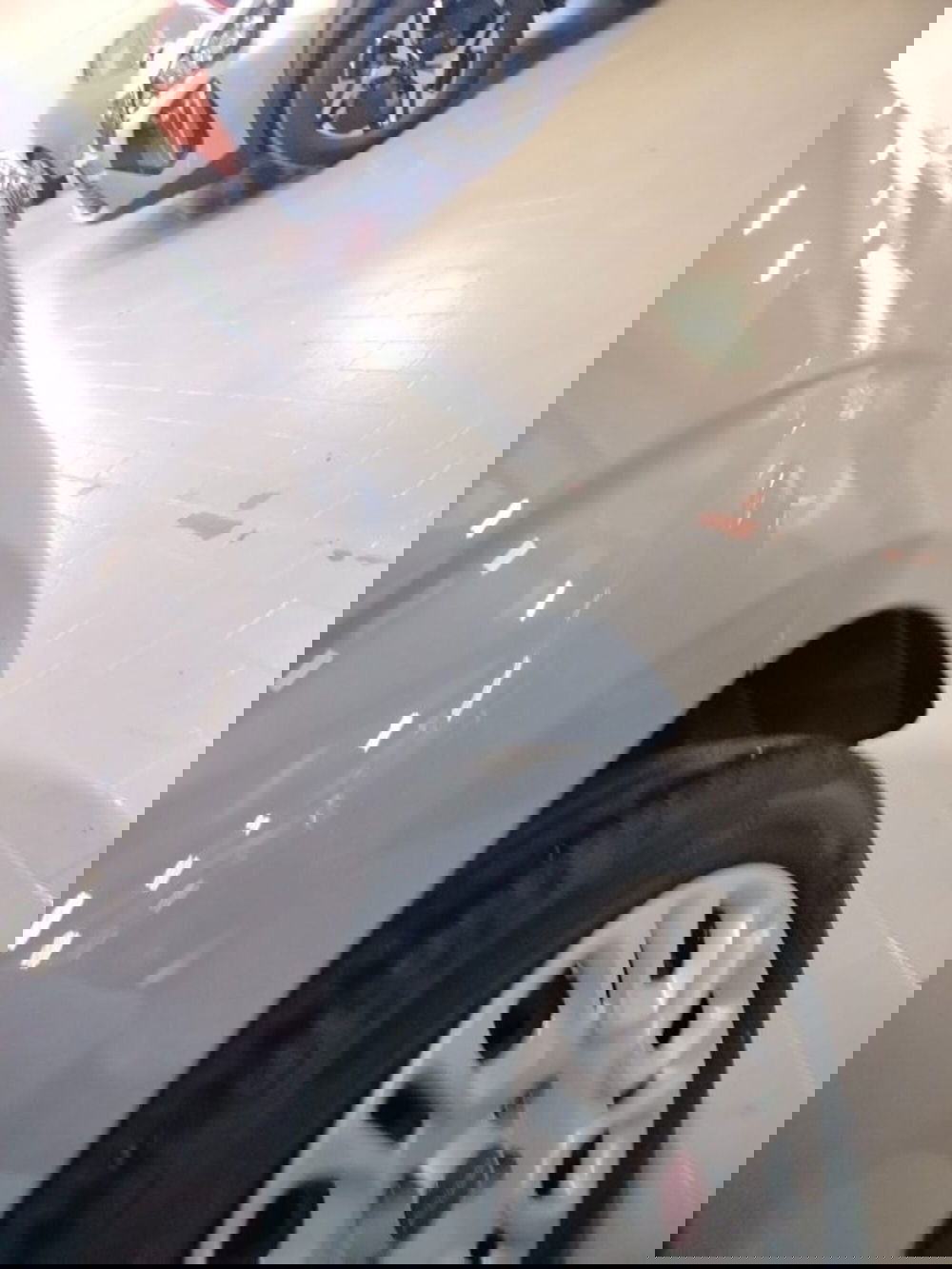 Fiat Panda usata a Forlì-Cesena (15)