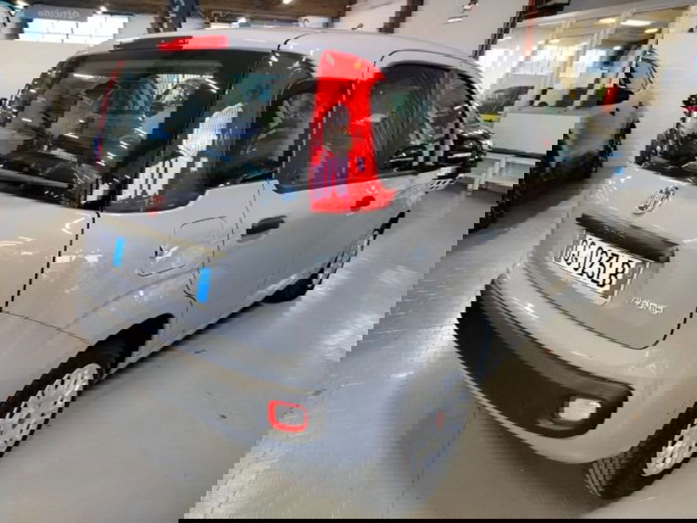 Fiat Panda usata a Forlì-Cesena (2)