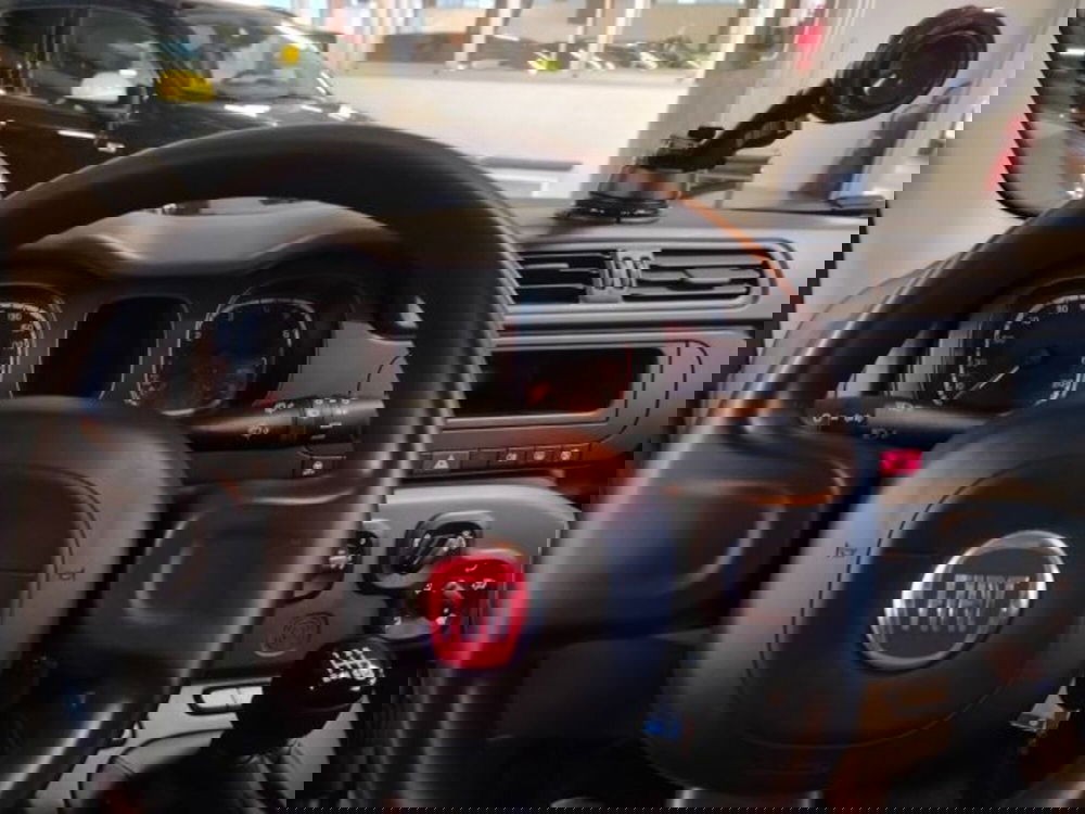 Fiat Panda usata a Forlì-Cesena (20)