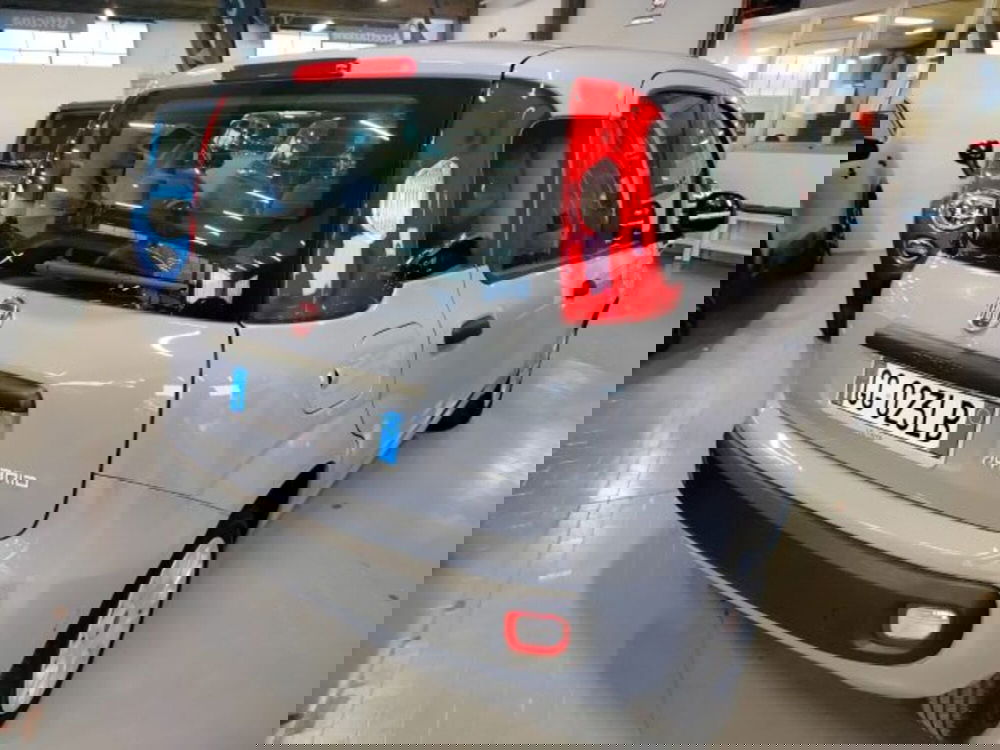 Fiat Panda usata a Forlì-Cesena (3)