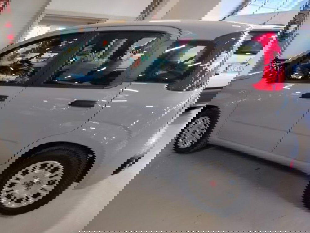 Fiat Panda usata a Forlì-Cesena (6)