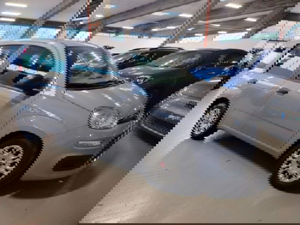 Fiat Panda usata a Forlì-Cesena (9)