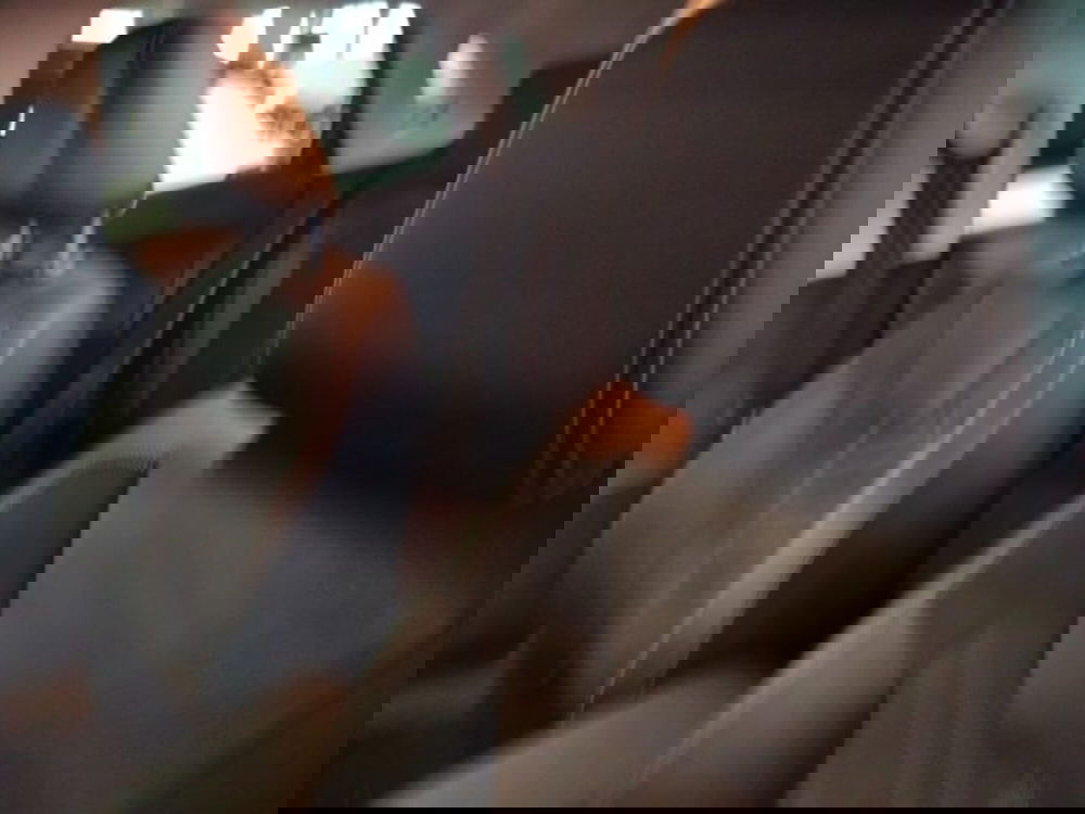 Opel Grandland usata a Forlì-Cesena (14)