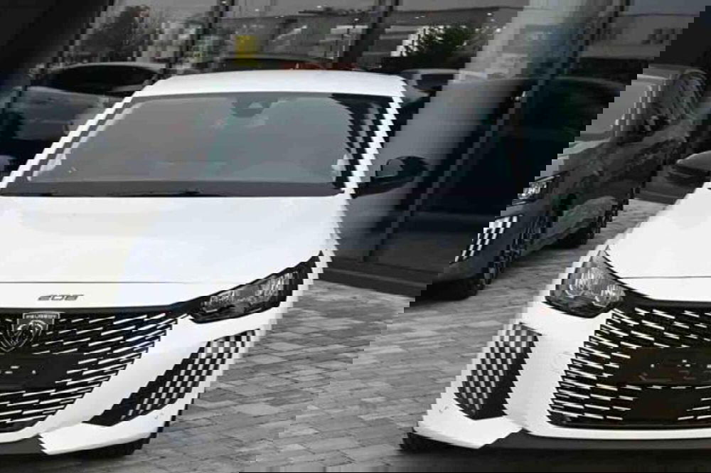 Peugeot 208 usata a Torino (2)