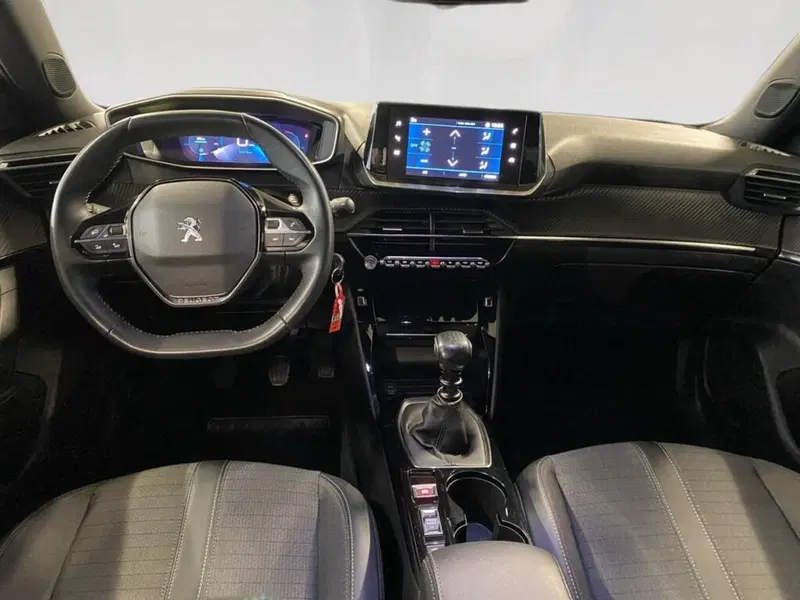 Peugeot 2008 usata a Torino (6)