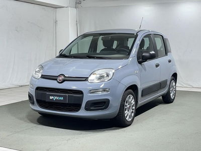 Fiat Panda 1.0 firefly hybrid s&amp;s 70cv 5p.ti del 2021 usata a Montagna in Valtellina