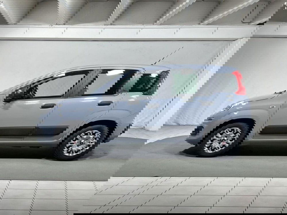 Fiat Panda usata a Sondrio (2)