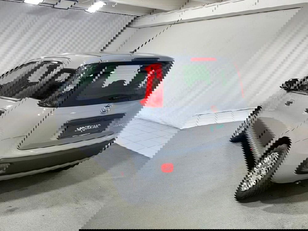 Fiat Panda usata a Sondrio (3)