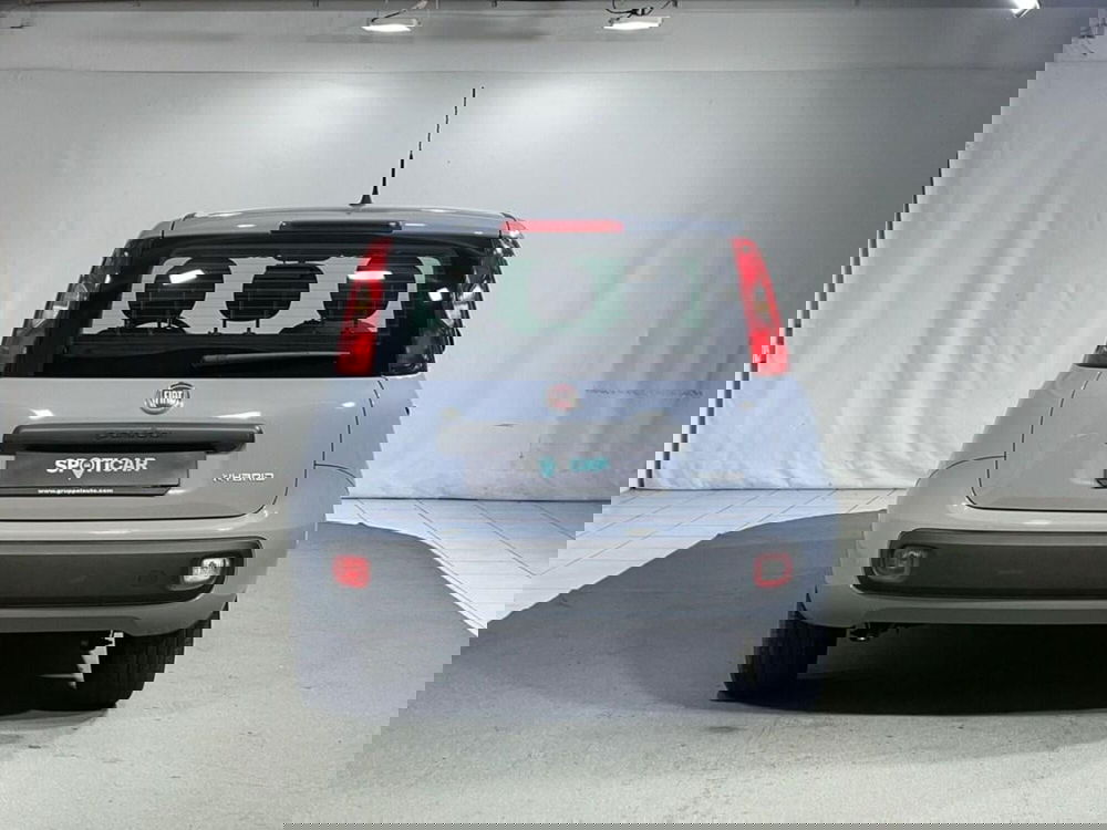 Fiat Panda usata a Sondrio (4)