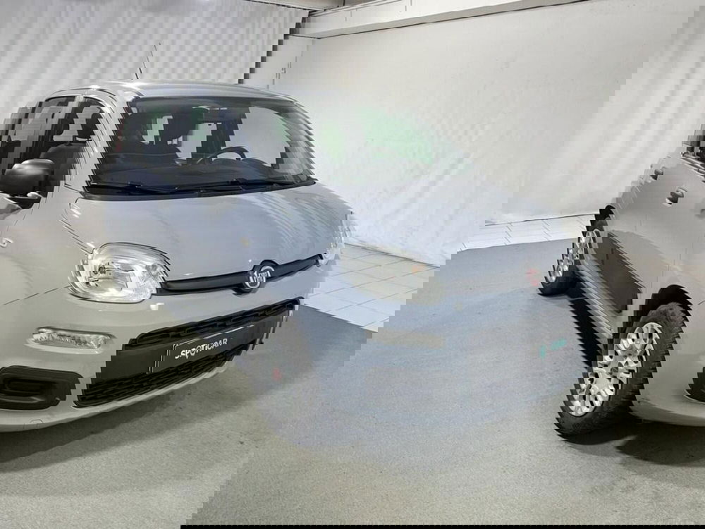 Fiat Panda usata a Sondrio (7)