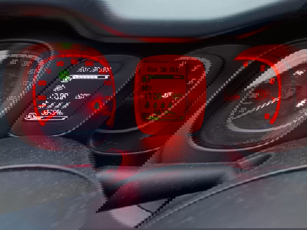 Fiat Panda Cross usata a Alessandria (14)