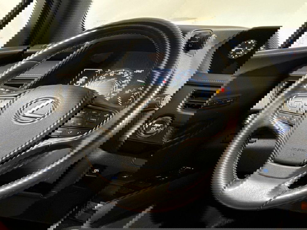 Lexus UX usata a Sondrio (10)