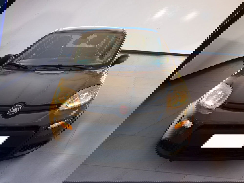 Fiat Panda usata a Torino