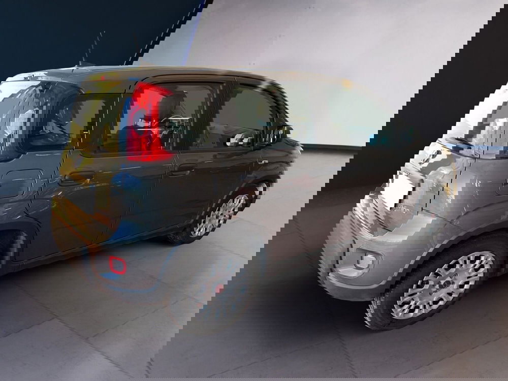 Fiat Panda usata a Torino (4)