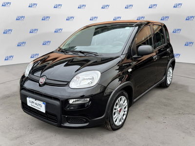 Fiat Panda 1.0 firefly hybrid s&amp;s 70cv 5p.ti del 2023 usata a Serravalle Pistoiese