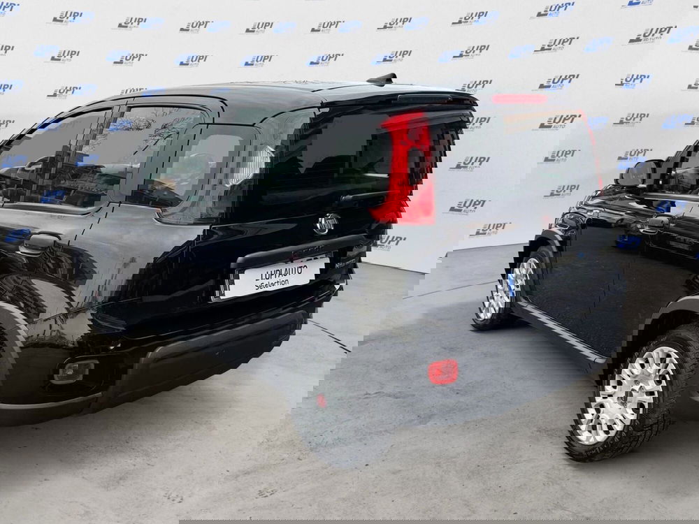 Fiat Panda usata a Pistoia (5)