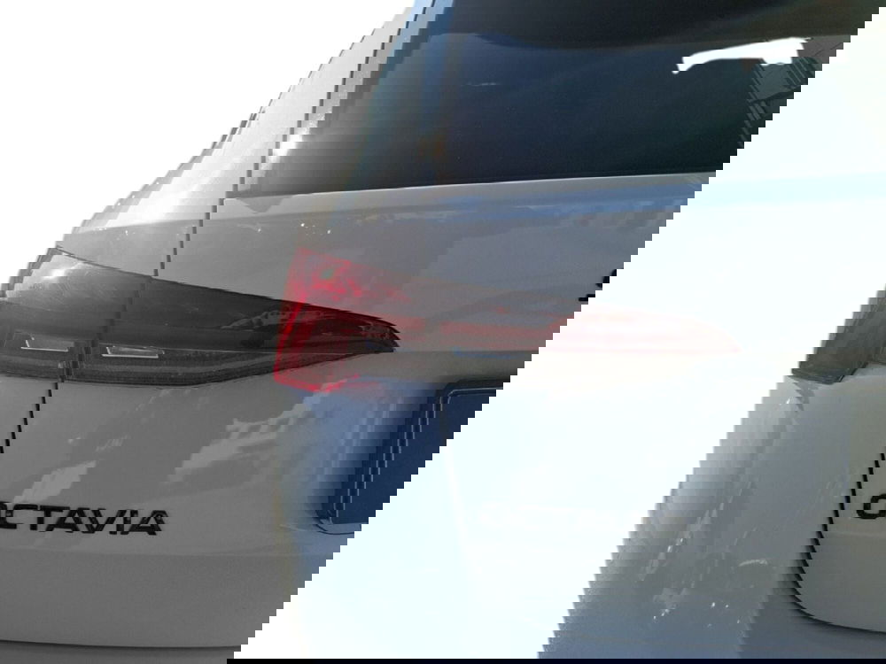 Skoda Octavia Station Wagon usata a Ancona (10)