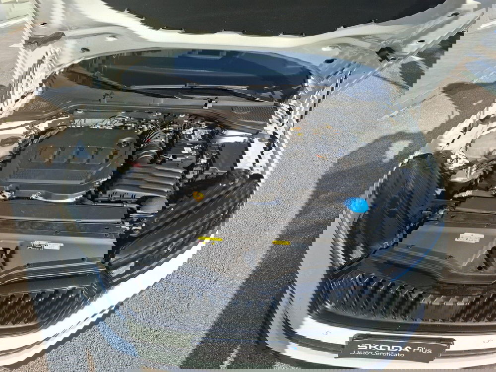 Skoda Octavia Station Wagon usata a Ancona (13)