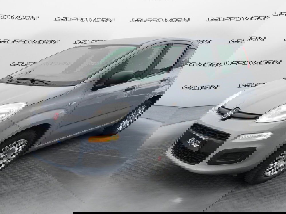 Fiat Panda usata a Mantova