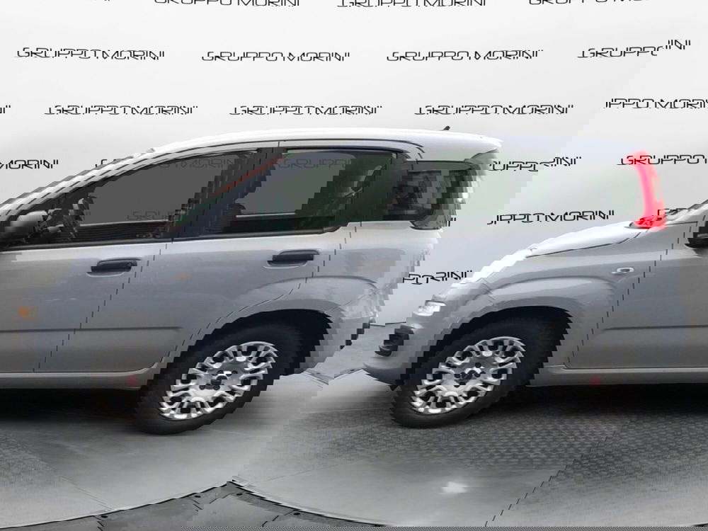 Fiat Panda usata a Mantova (2)