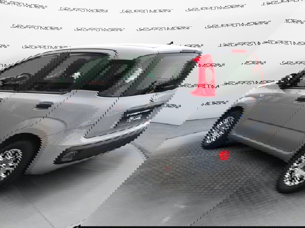 Fiat Panda usata a Mantova (3)