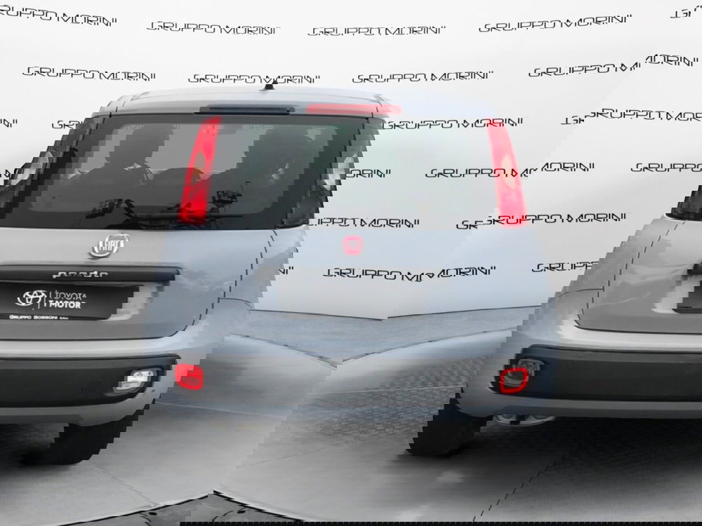 Fiat Panda usata a Mantova (4)