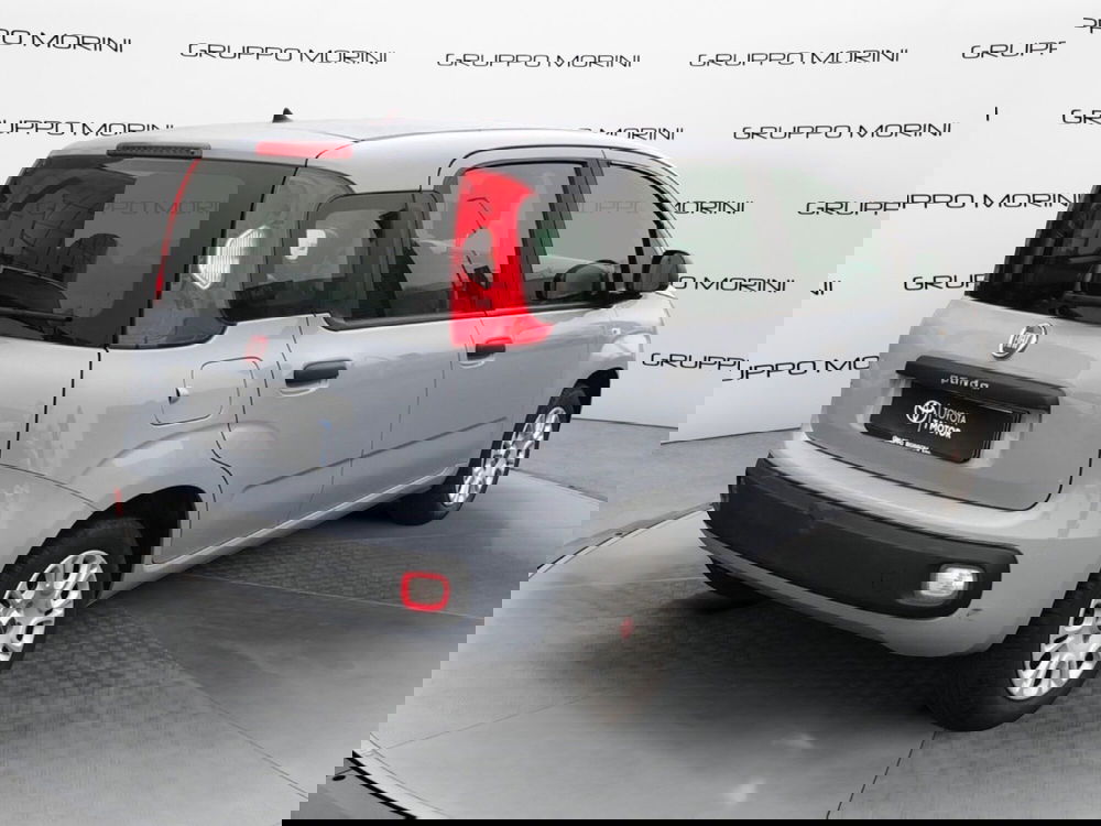 Fiat Panda usata a Mantova (5)