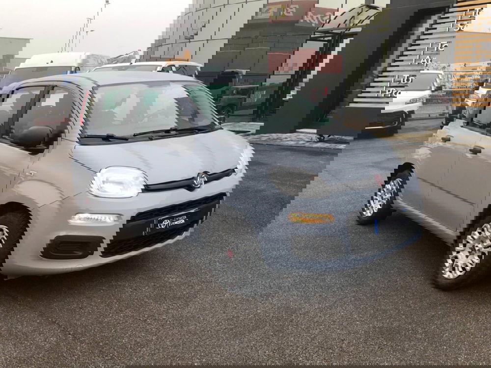 Fiat Panda usata a Mantova (7)
