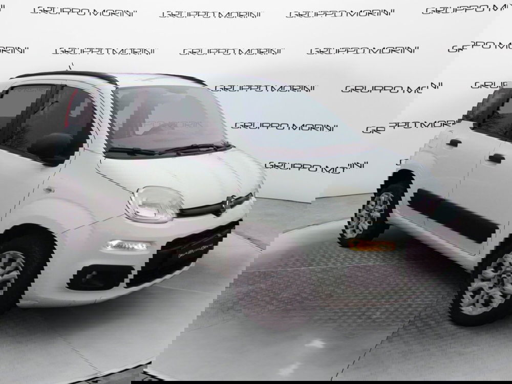 Fiat Panda usata a Bologna (3)