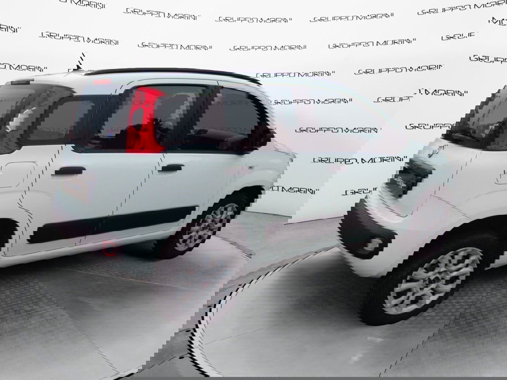 Fiat Panda usata a Bologna (5)