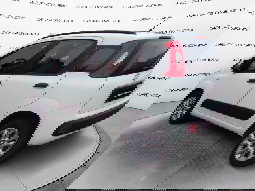 Fiat Panda usata a Bologna (6)