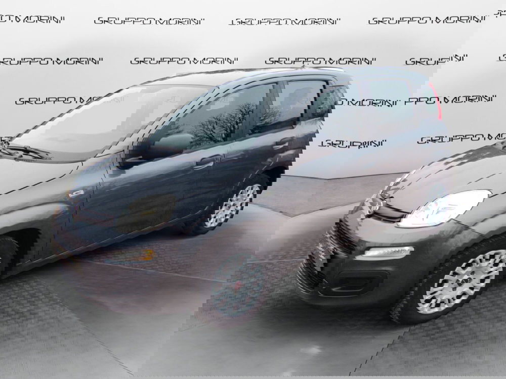 Fiat Panda usata a Bologna