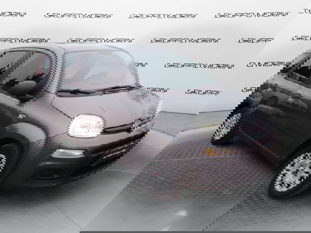 Fiat Panda usata a Bologna (3)