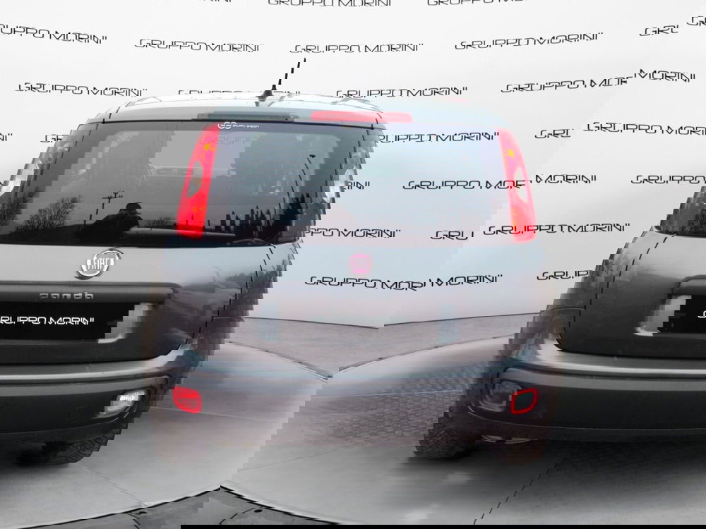 Fiat Panda usata a Bologna (4)