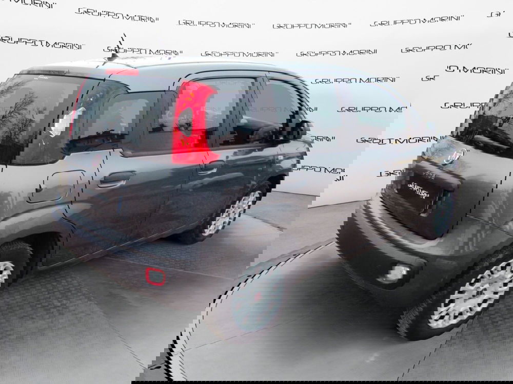 Fiat Panda usata a Bologna (5)