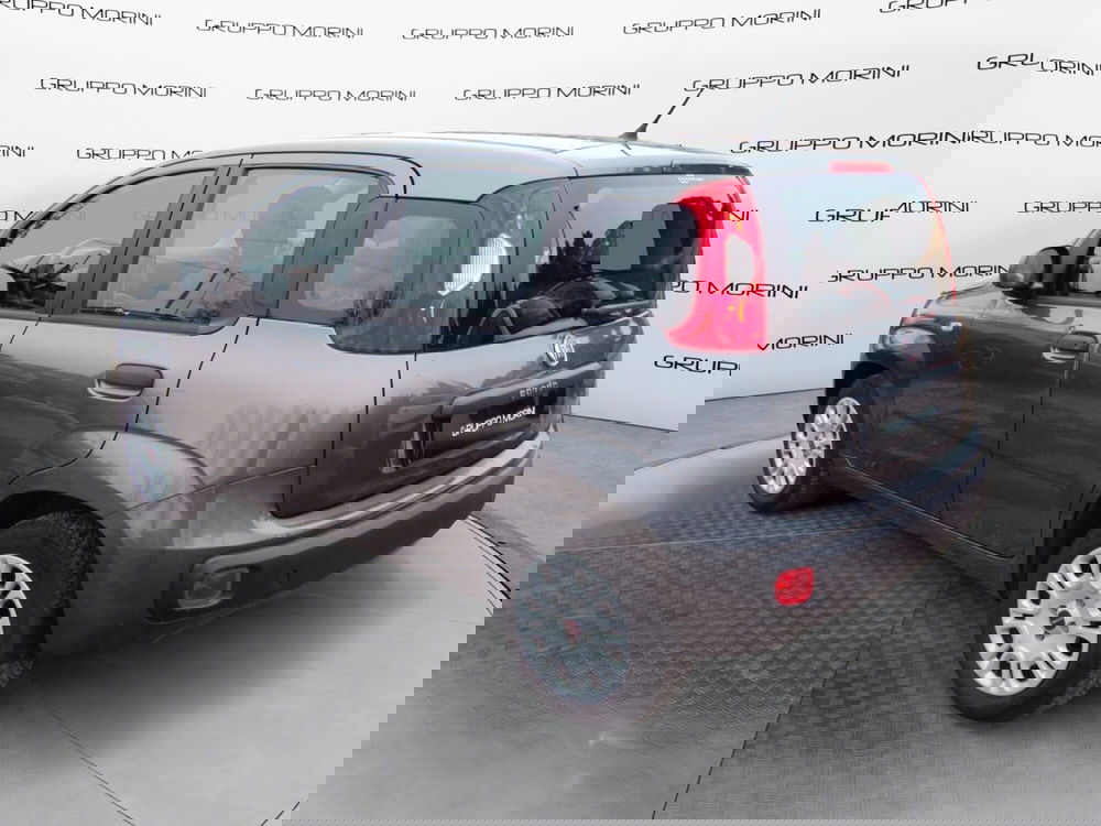 Fiat Panda usata a Bologna (6)