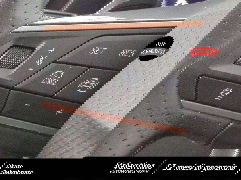 Cupra Formentor usata a Roma (15)