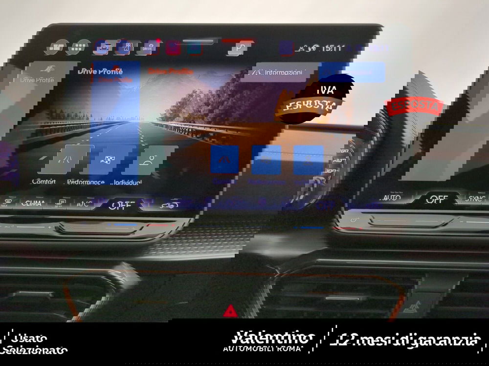 Cupra Formentor usata a Roma (18)