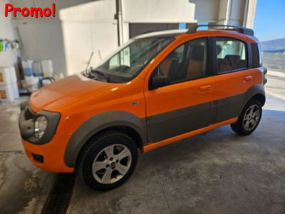 Fiat Panda 1.3 MJT 16V 4x4 Cross del 2006 usata a Campodipietra