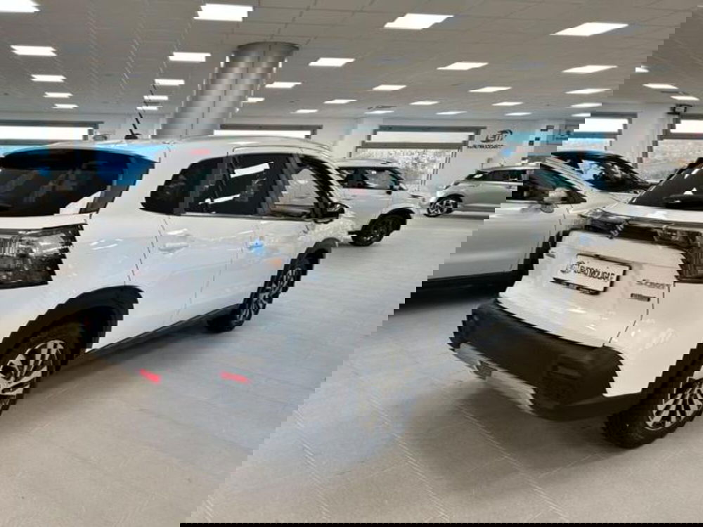 Suzuki S-Cross usata a Campobasso (12)