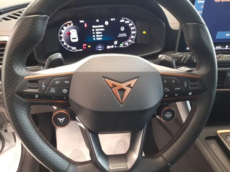 Cupra Leon usata a Bologna (11)