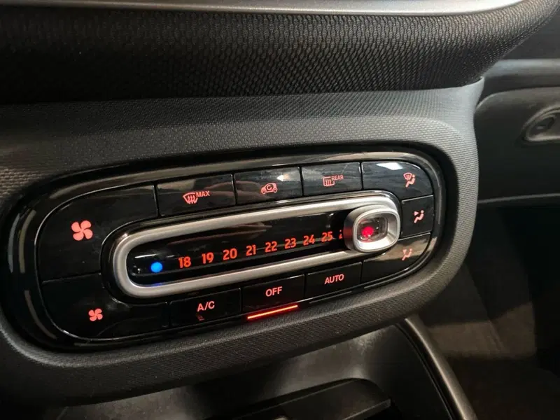 smart forfour usata a Firenze (15)